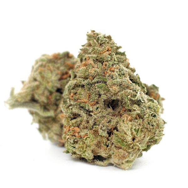 1 Ounce Nuken | Best Quality Ounces | BHANG-BHANG