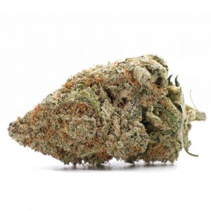 Best Hybrid Cannabis Strains | 1 Ounce Rockstar | BHANG BHANG