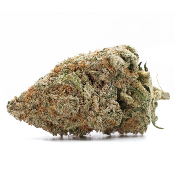 Best Hybrid Cannabis Strains | 1 Ounce Rockstar | BHANG BHANG