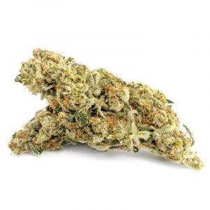 Orange Crush Sativa Dom cannabis flower