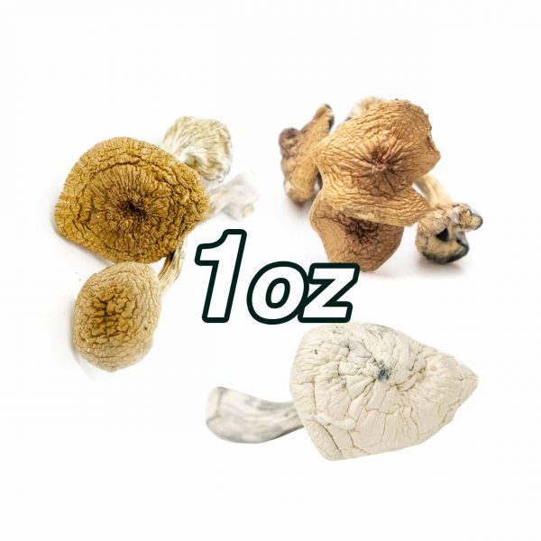 1 oz magic mushroom mix & match