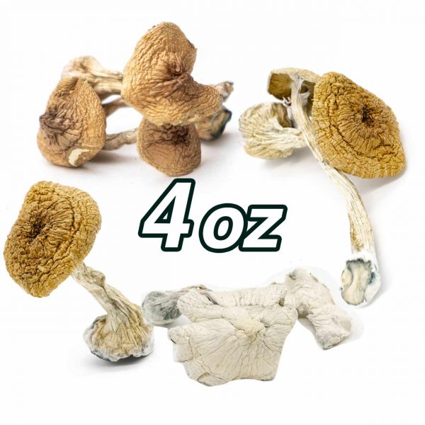 4 oz magic mushroom mix & match
