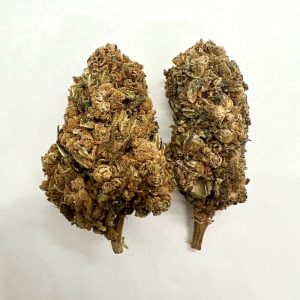 bhangbhang-girlscoutcookie
