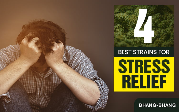 4-Best-Strains-for-Stress-Relief