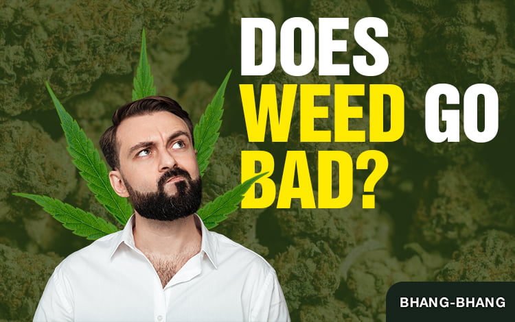 Does-Weed-Go-Bad