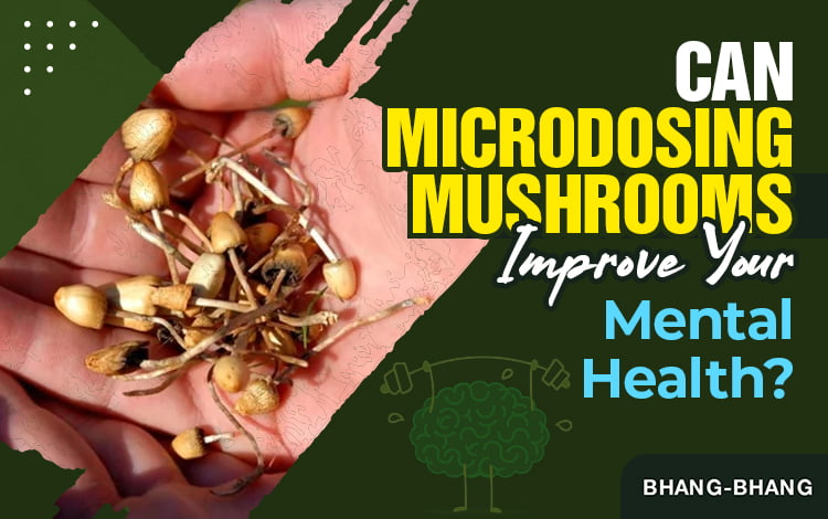 Can-Microdosing-Mushrooms-Improve-Your-Mental-Health