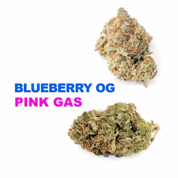 2oz Special Blueberry OG / Pink Gas