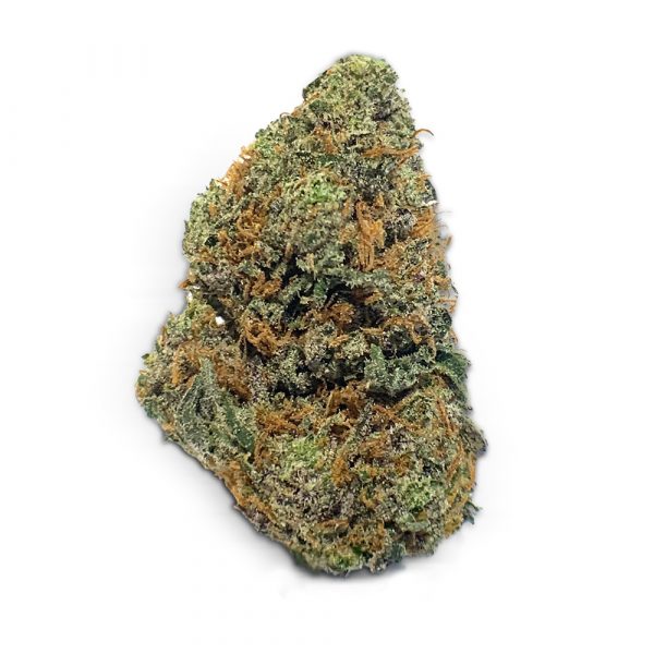 Grease Monkey 2