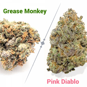 Grease-Monkey-x-Pink-Diablo.png