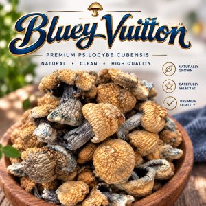 Bluey Vuitton Magic Mushrooms Bhang Bhang