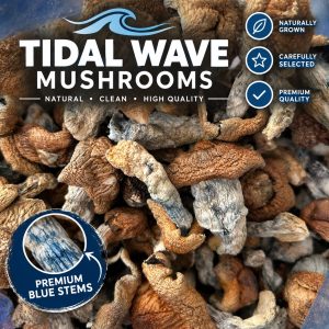 Tidal Wave Magic Mushrooms Bhang Bhang