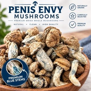 Penis Envy Magic Mushrooms Bhang Bhang